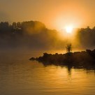 Golden Morning