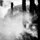 A farmhouse has burned down
