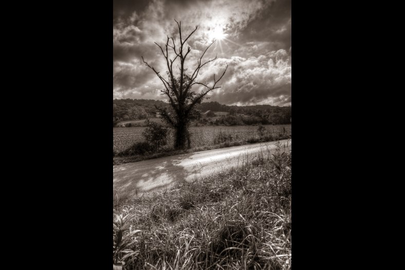 Country Road, Tree and Barn