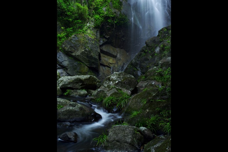 Stream