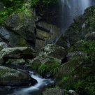 Stream