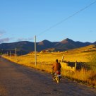 Road