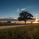 Summer Closes