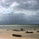 Low Tide