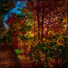 Autumn Path