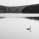 Calm II.
