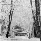 Stairs in the Snow