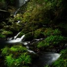 Stream