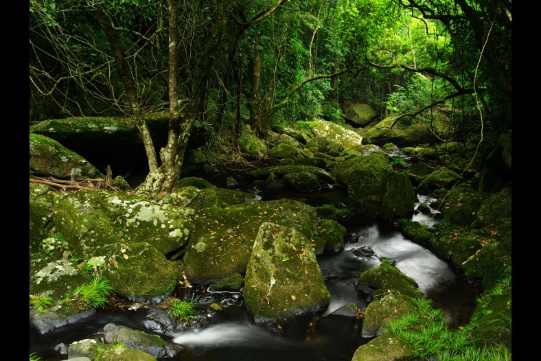 Stream