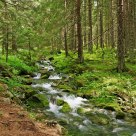 mountain stream