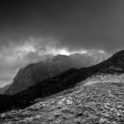 Le col