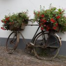 Flowered bicycle