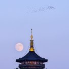 Leifeng Tower