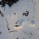 Footprint