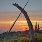 Burned Sunset