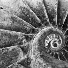 Straight or fossil