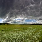 Meadow at Taylorsville