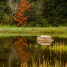 Walden Pond