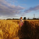 Wheat field 