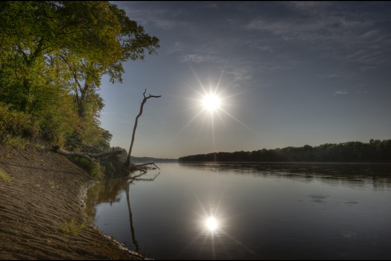 Sun and Dead Tree