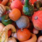 PUMPKINS