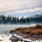 Misty Dawn on Costello Creek
