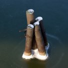 Cigars