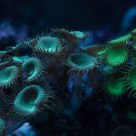 Under water