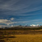 Beautiful fall colors in Rondane / Norway