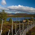 The old fence and landscape / Rondane / Norway