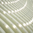 Curves--Dynamic Performance of Nature