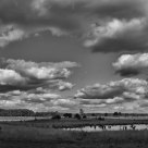 Heathland