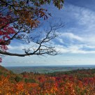 Fall in Gatineau Park