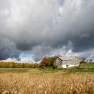 Fall Barn