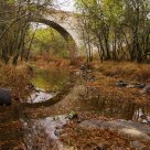 A bridge