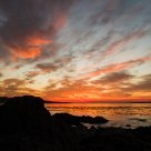 Pacific Sunrise