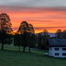 Morning glow