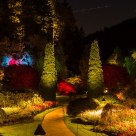 Sunken Garden at Night