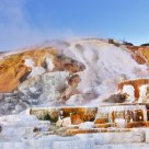 Mammoth Hot Spring