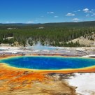 Prismatic Spring