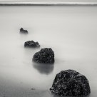 Golden Gardens Pilings II