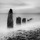 Golden Gardens Pilings III