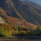 Fall Colours
