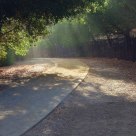 Morning Rays On The Walkway