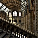London Natural History Museum 