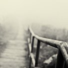 Fog