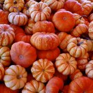 PUMPKINS