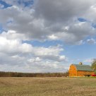 Barn in Afternoon