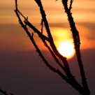 Hidden sun