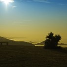 Mist